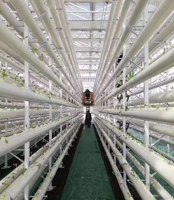 微型自行式液壓升降機(jī)工作中 微型自行式液壓升降機(jī)工作中